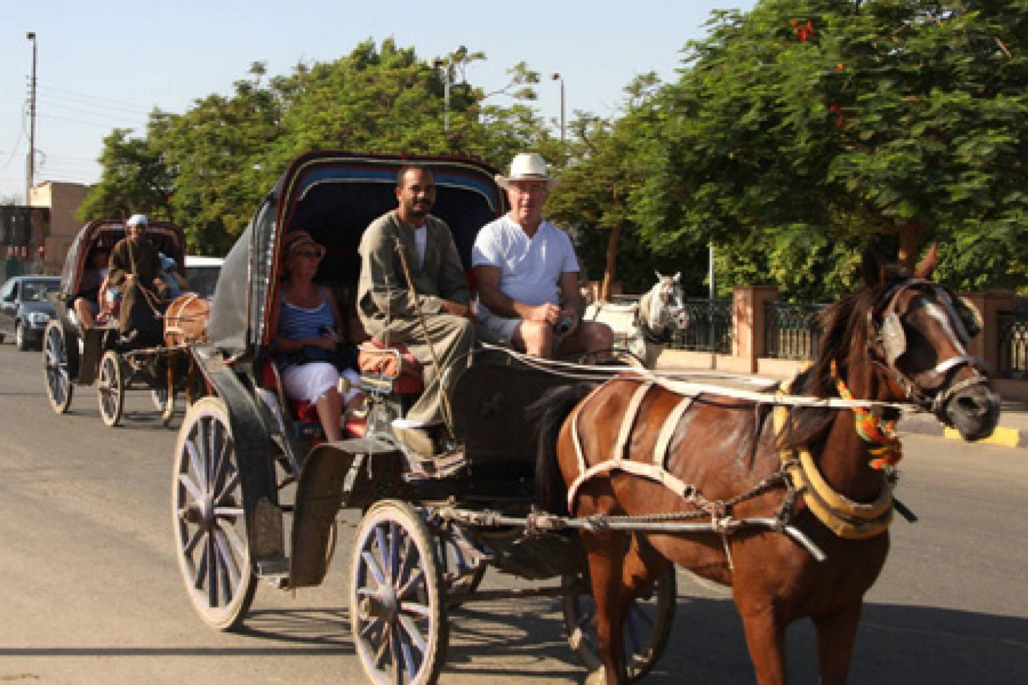Luxor City tour by horse carriage