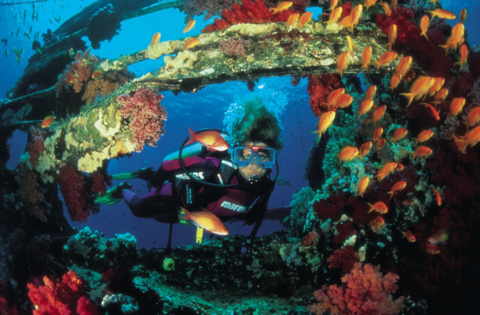 Day Scuba Diving Tour From Sharm EL Sheikh