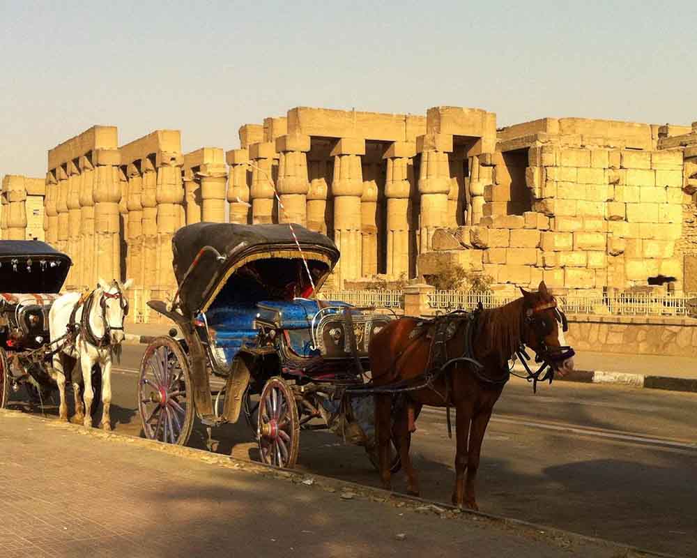 Luxor City tour by horse carriage